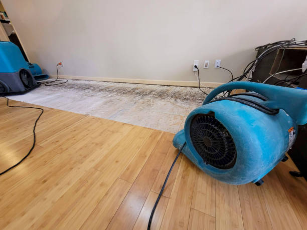 Professional Structural Drying technician working in Greenwich, CT